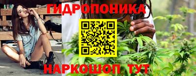 альфа пвп Заводоуковск