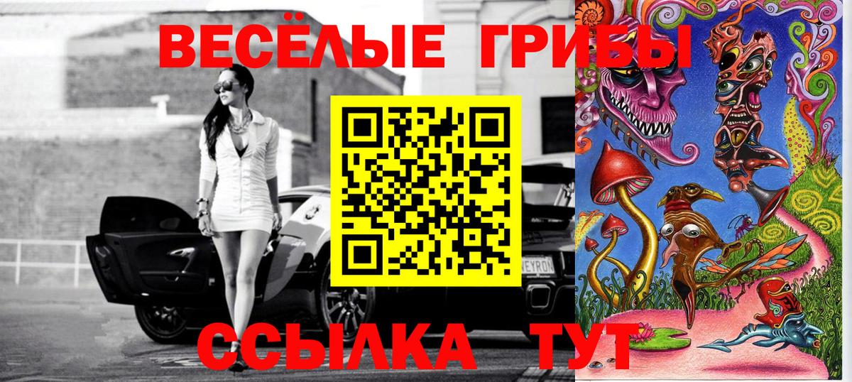 Галлюциногенные грибы Magic Shrooms  Вход с VPN  Псилоцибиновые грибы мухоморы  Междуреченск 
